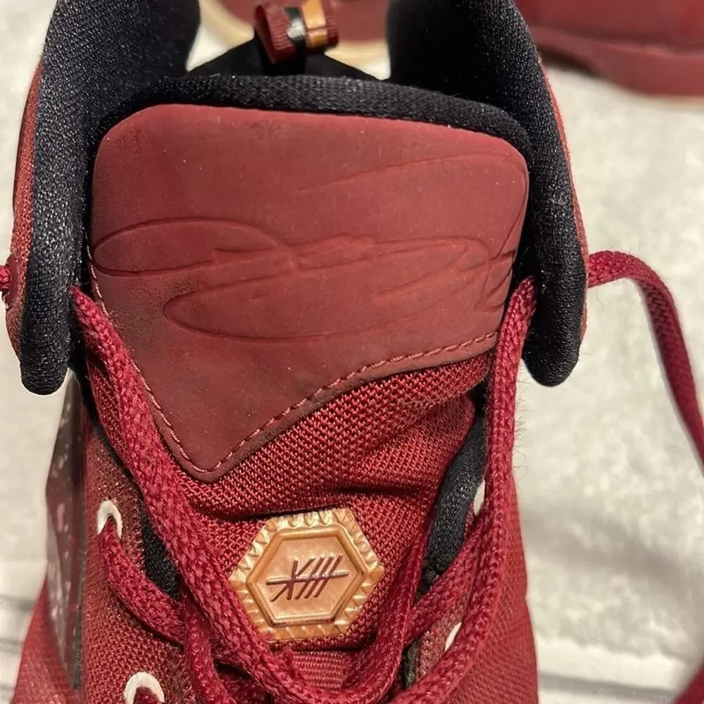 Nike lebron 13
